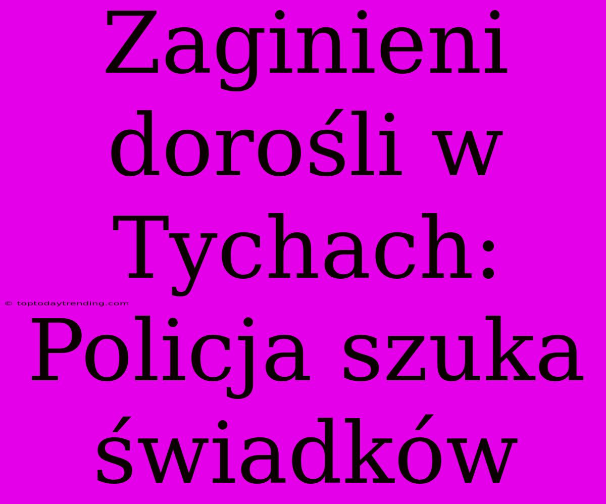 Zaginieni Dorośli W Tychach: Policja Szuka Świadków