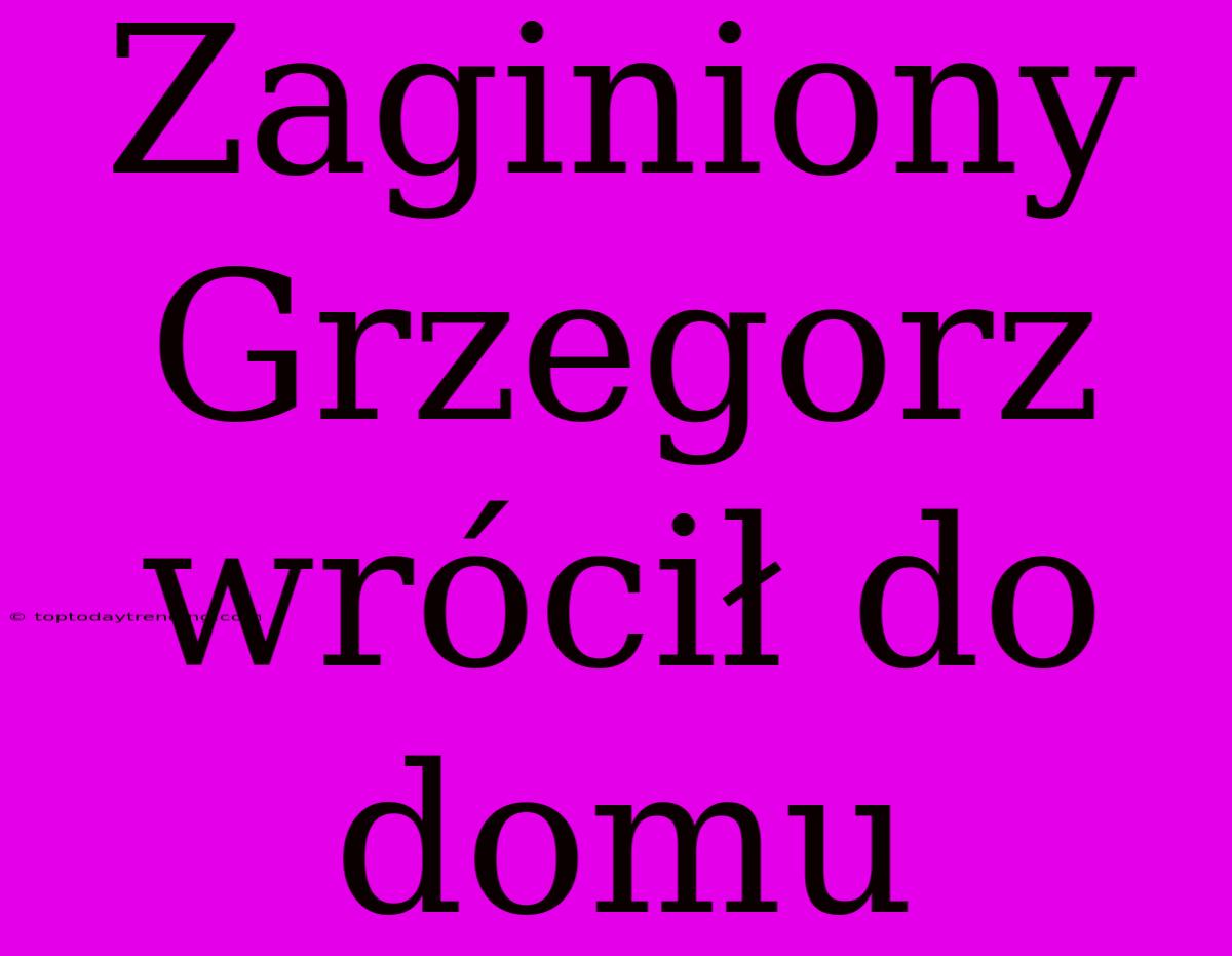 Zaginiony Grzegorz Wrócił Do Domu