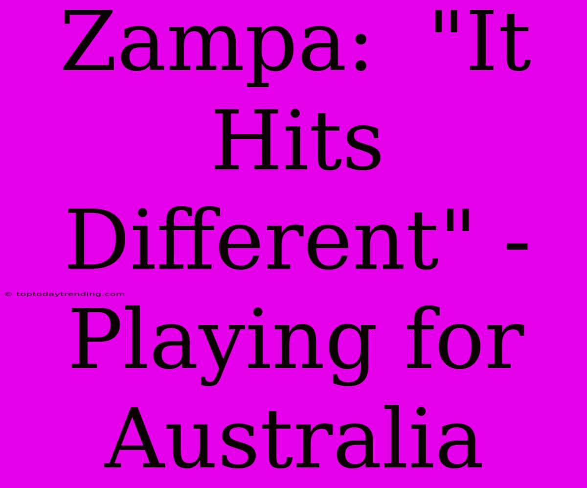 Zampa:  