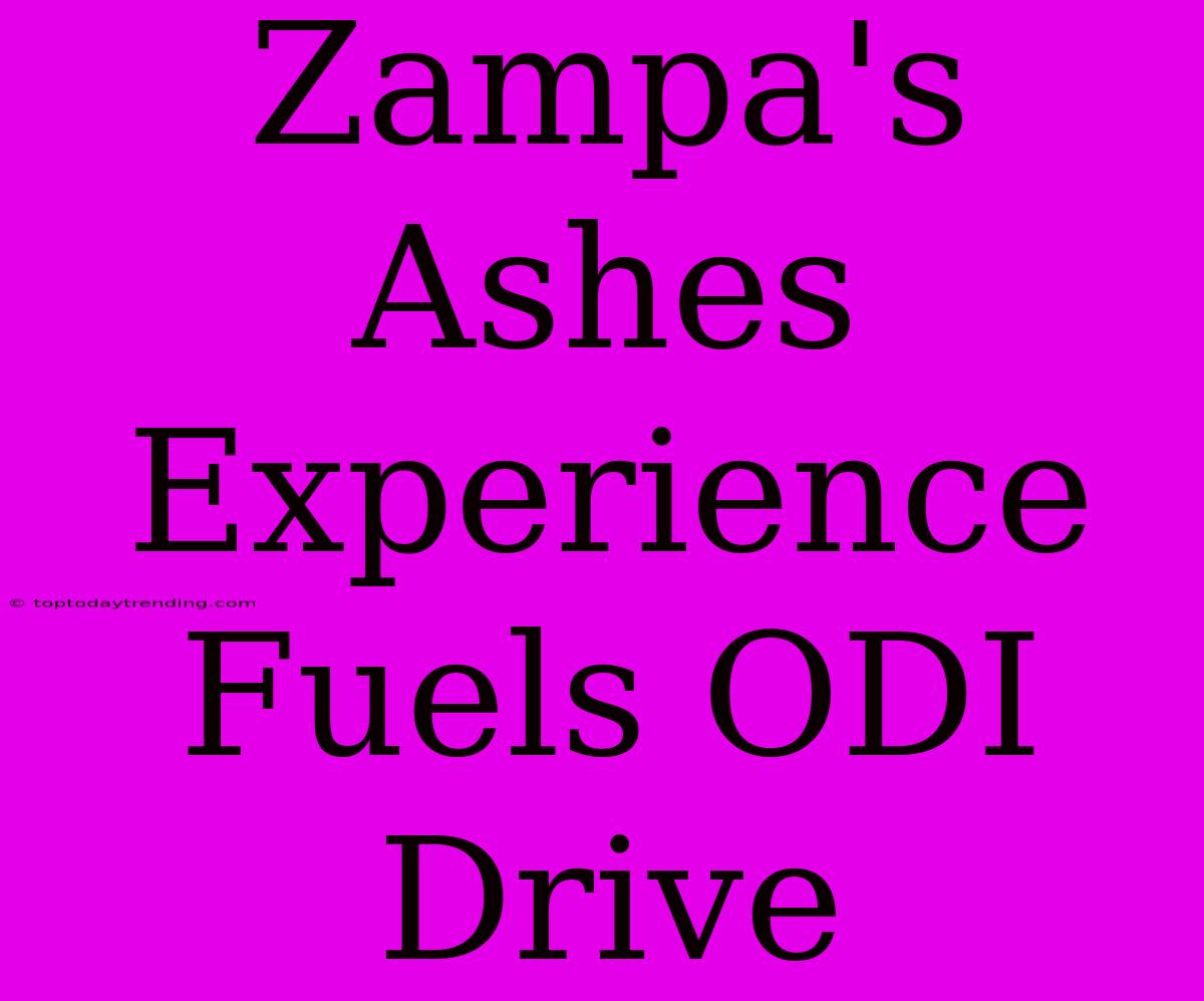 Zampa's Ashes Experience Fuels ODI Drive