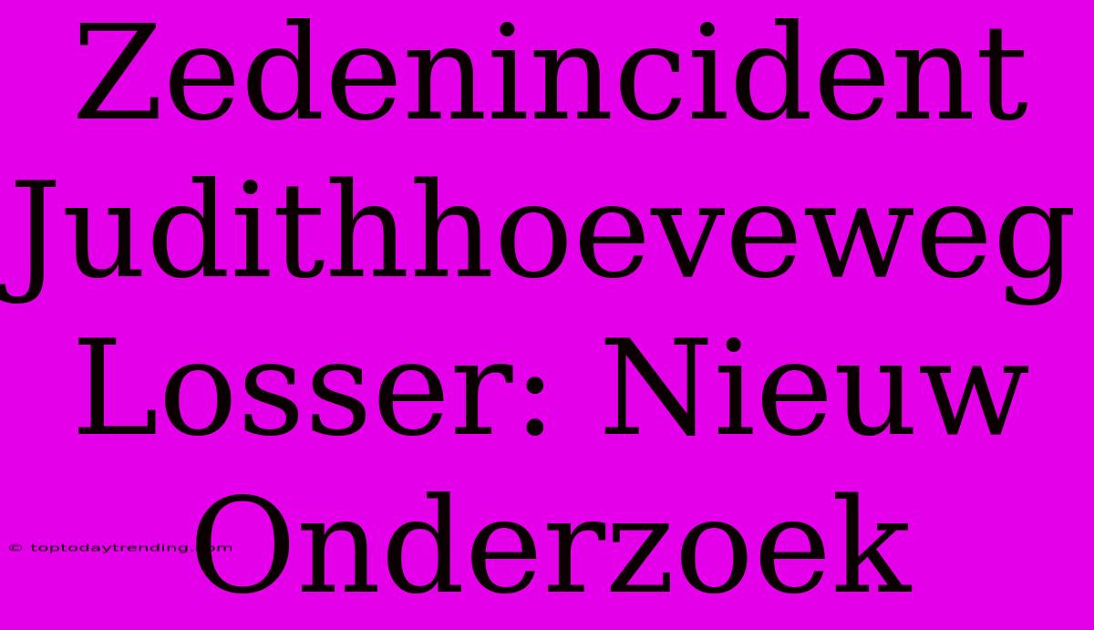 Zedenincident Judithhoeveweg Losser: Nieuw Onderzoek