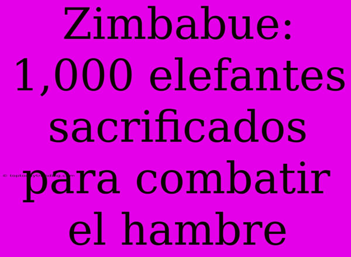 Zimbabue: 1,000 Elefantes Sacrificados Para Combatir El Hambre