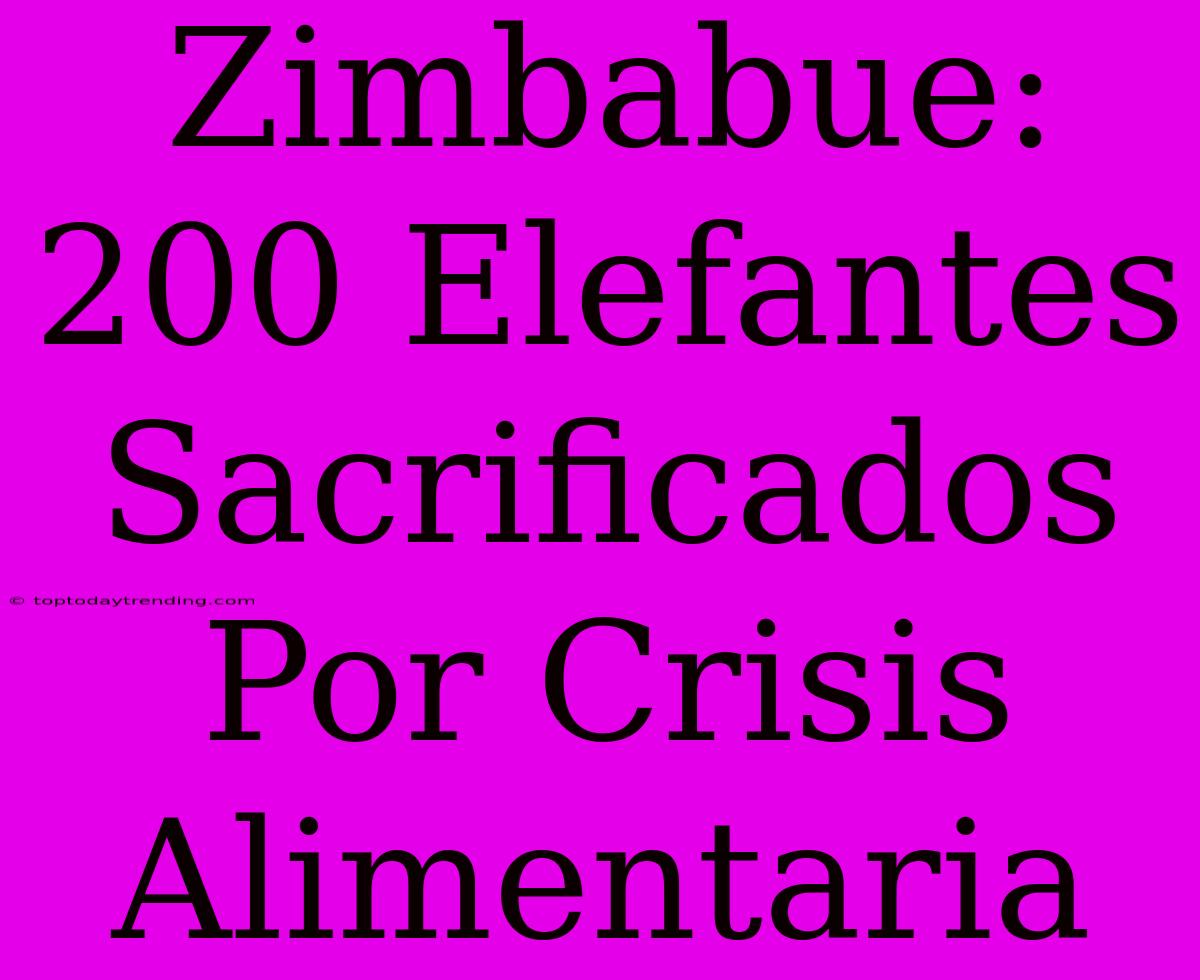 Zimbabue: 200 Elefantes Sacrificados Por Crisis Alimentaria