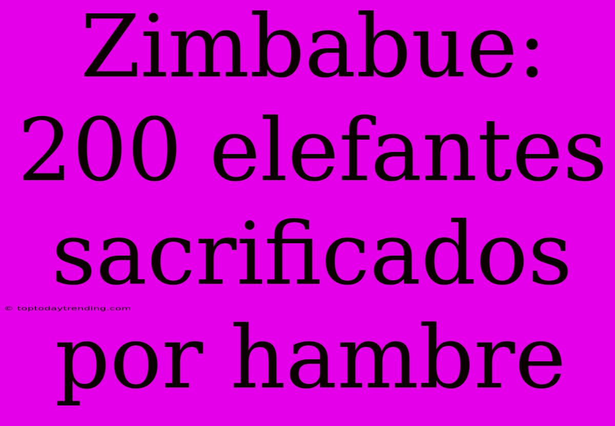 Zimbabue: 200 Elefantes Sacrificados Por Hambre