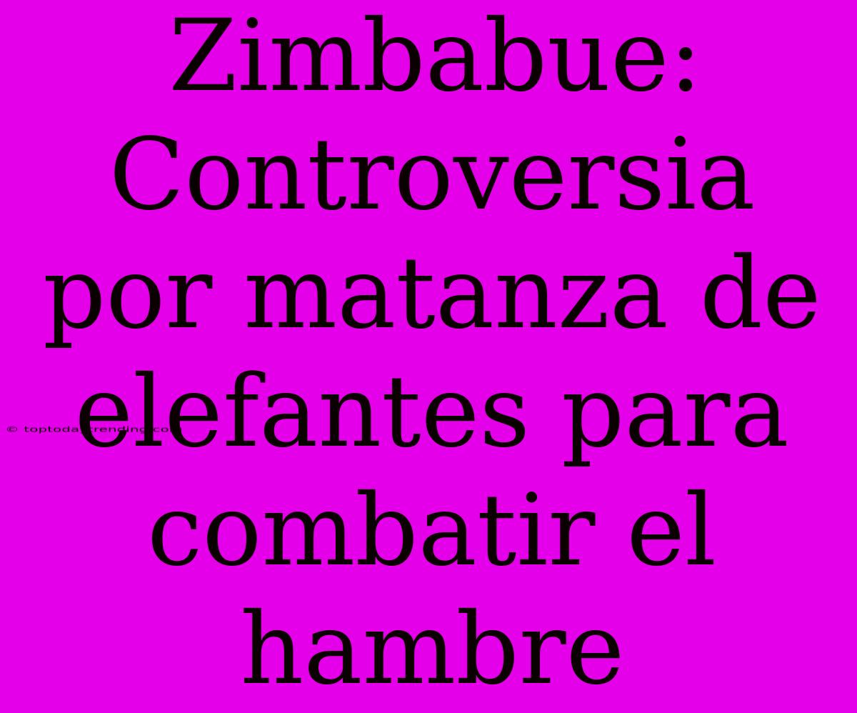 Zimbabue: Controversia Por Matanza De Elefantes Para Combatir El Hambre