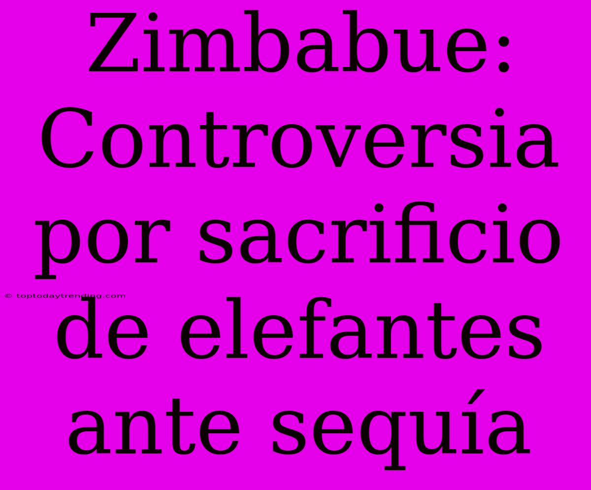 Zimbabue: Controversia Por Sacrificio De Elefantes Ante Sequía