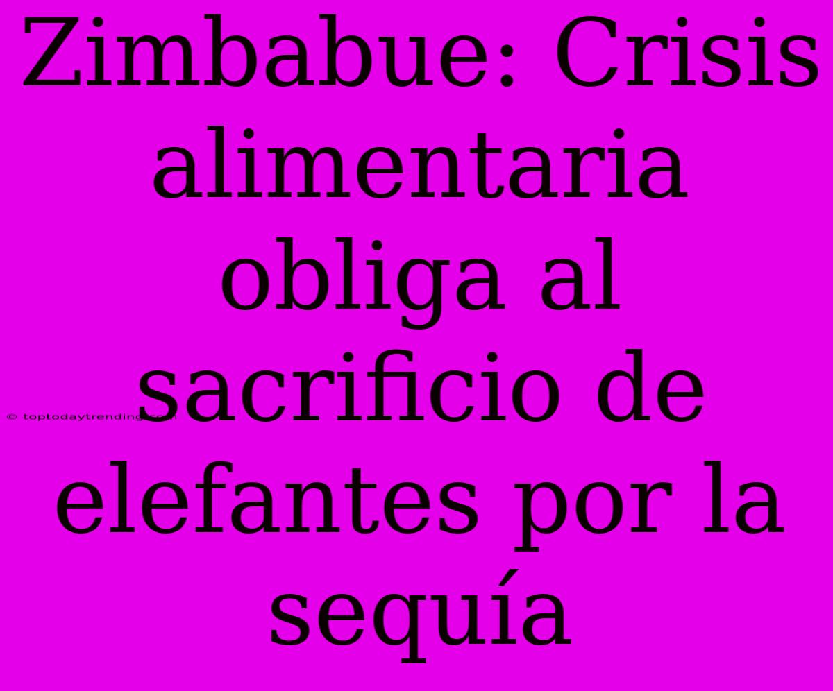 Zimbabue: Crisis Alimentaria Obliga Al Sacrificio De Elefantes Por La Sequía