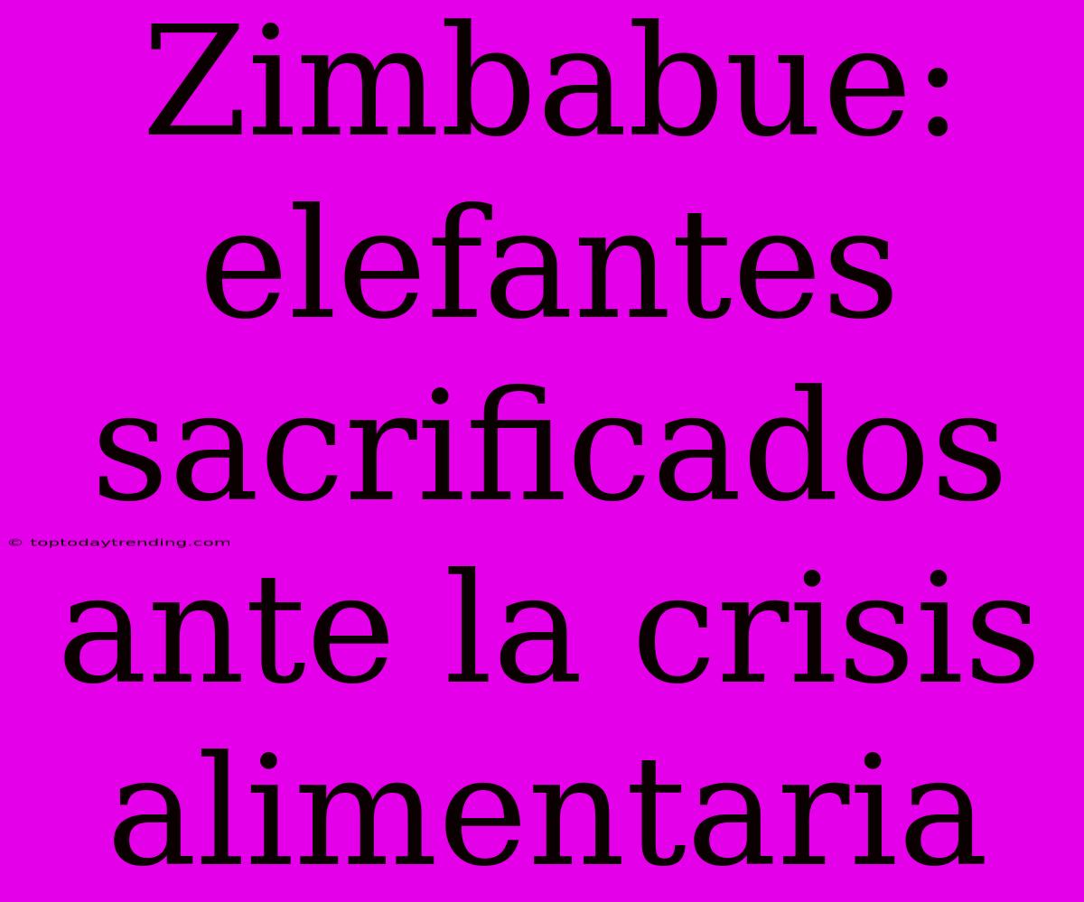 Zimbabue: Elefantes Sacrificados Ante La Crisis Alimentaria