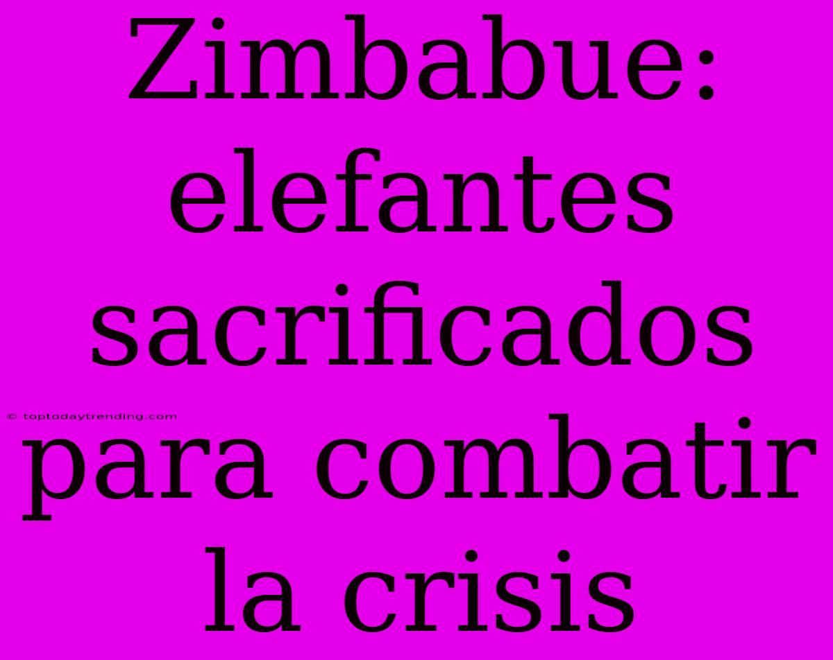 Zimbabue: Elefantes Sacrificados Para Combatir La Crisis