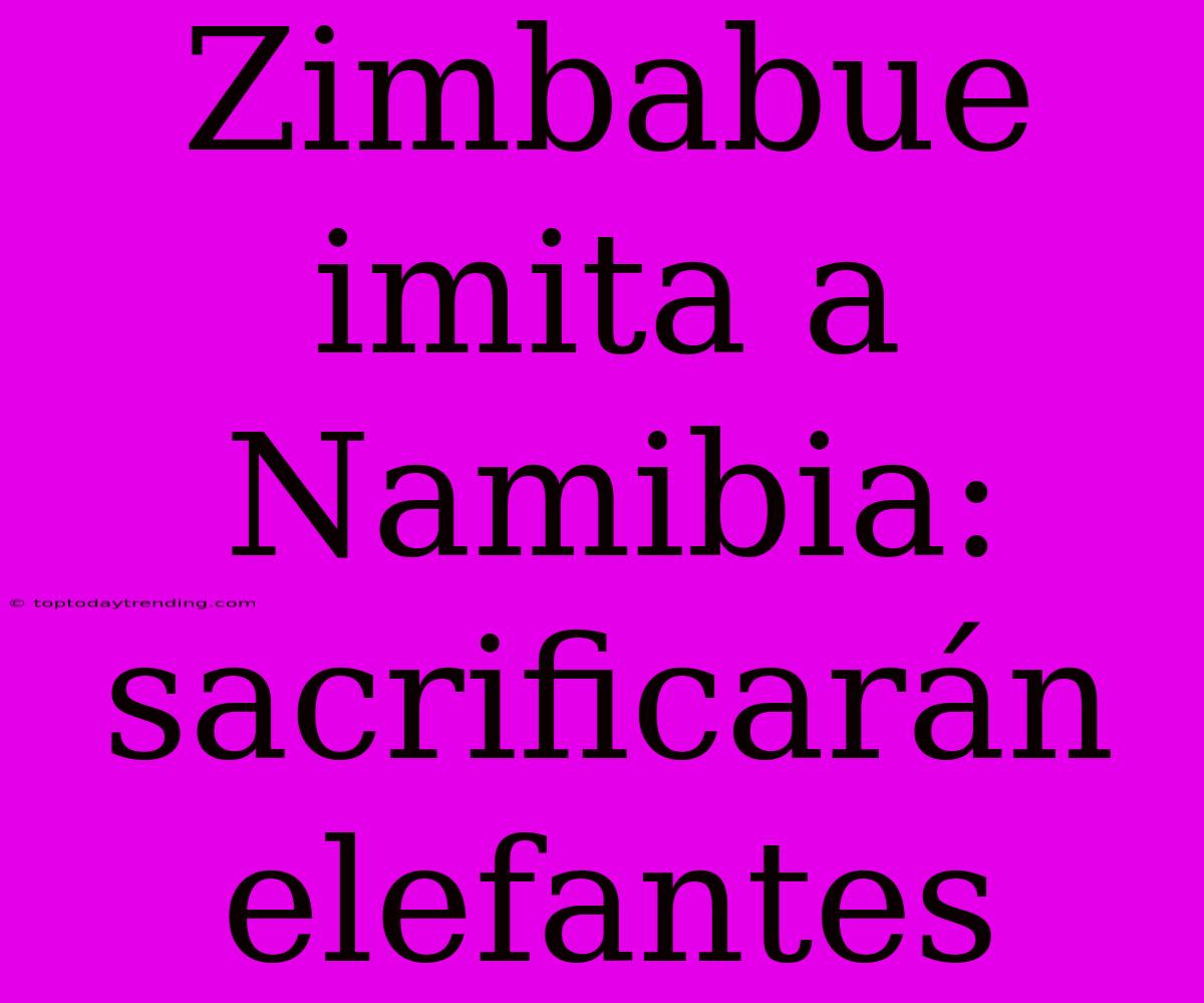 Zimbabue Imita A Namibia: Sacrificarán Elefantes