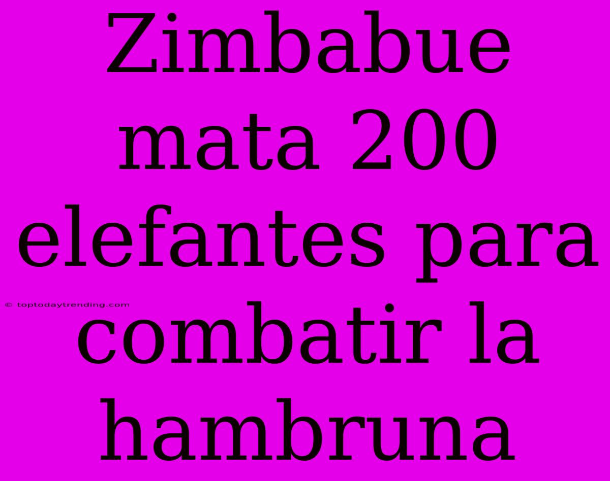 Zimbabue Mata 200 Elefantes Para Combatir La Hambruna