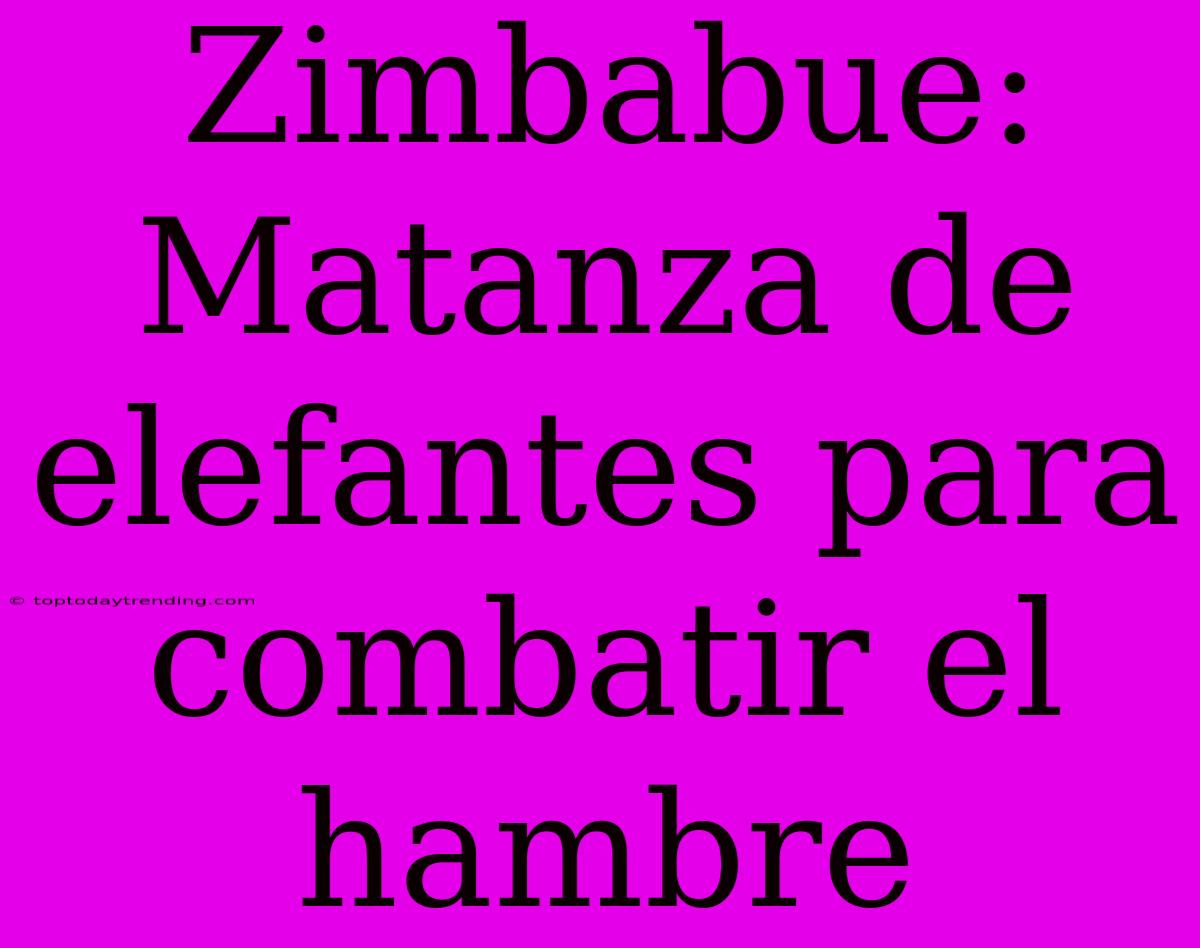 Zimbabue: Matanza De Elefantes Para Combatir El Hambre