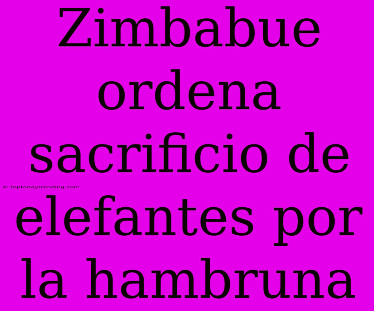 Zimbabue Ordena Sacrificio De Elefantes Por La Hambruna