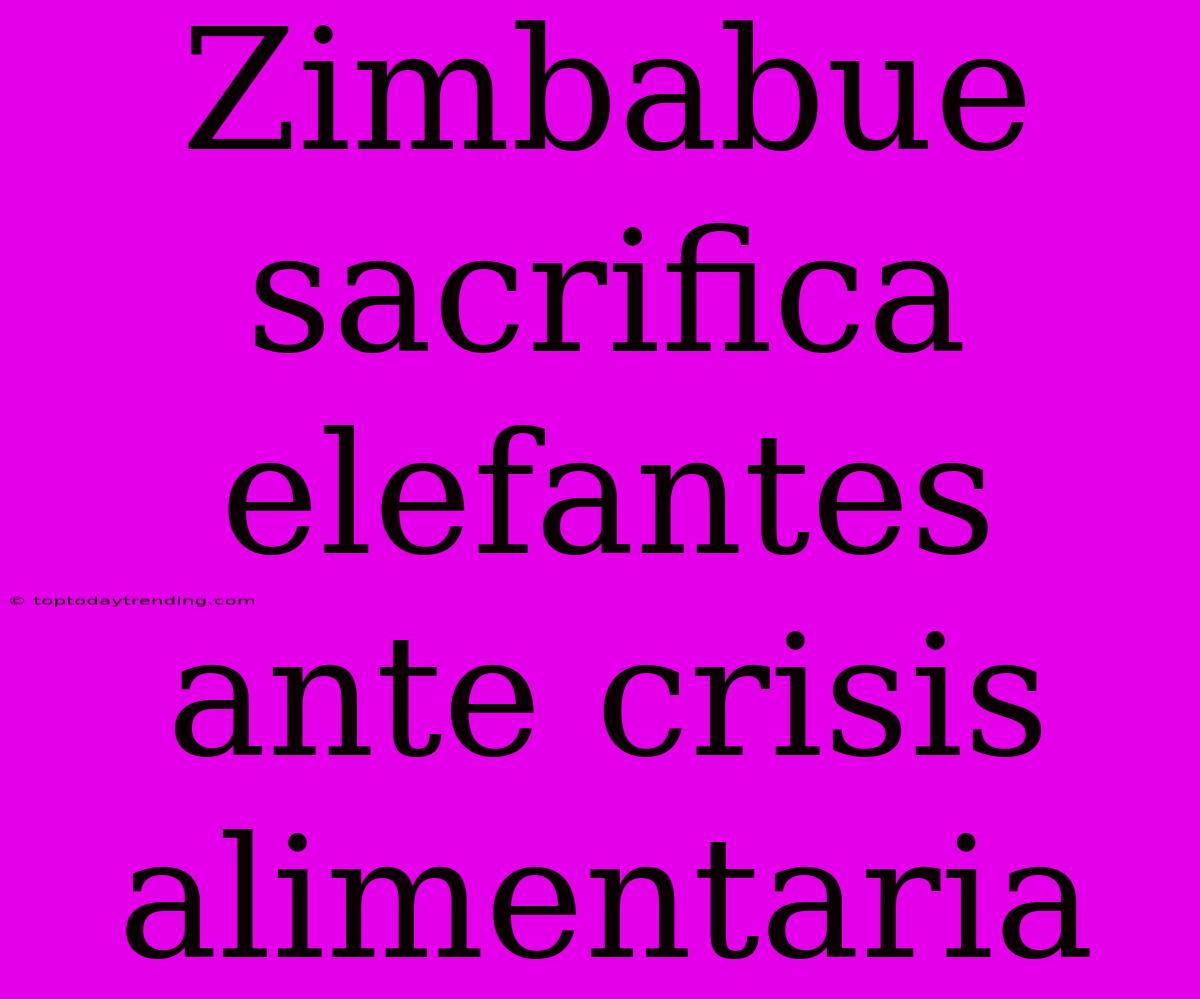 Zimbabue Sacrifica Elefantes Ante Crisis Alimentaria