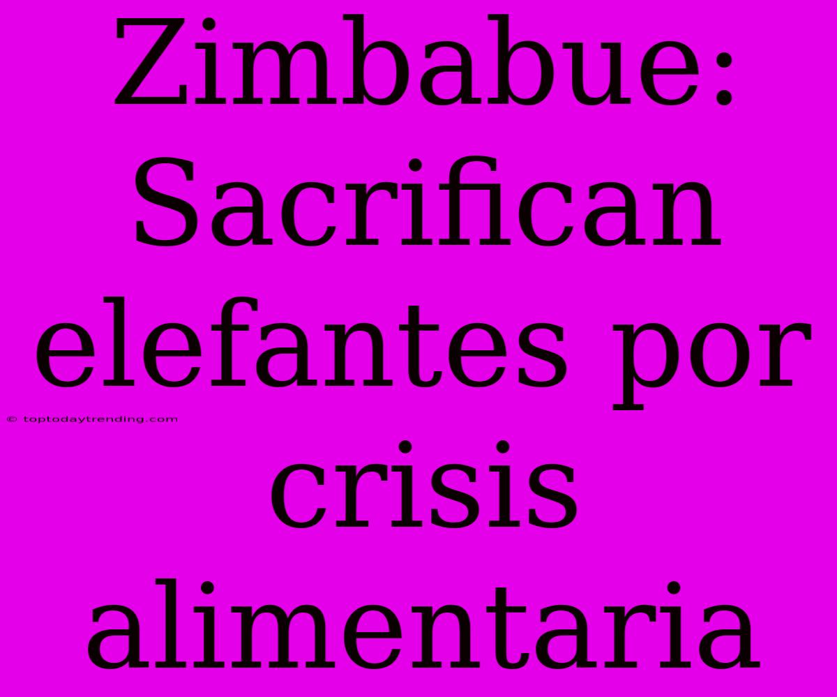 Zimbabue: Sacrifican Elefantes Por Crisis Alimentaria