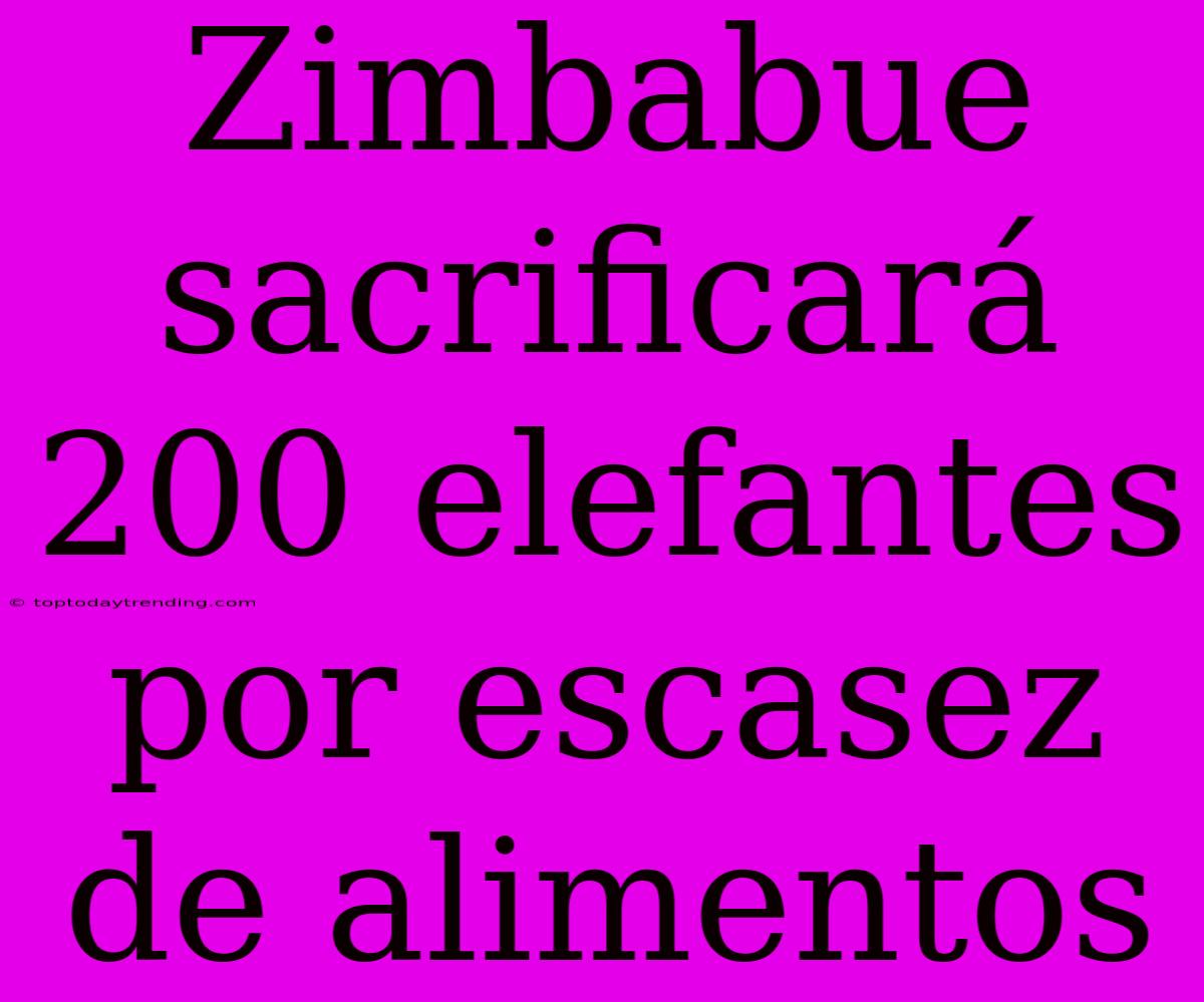 Zimbabue Sacrificará 200 Elefantes Por Escasez De Alimentos