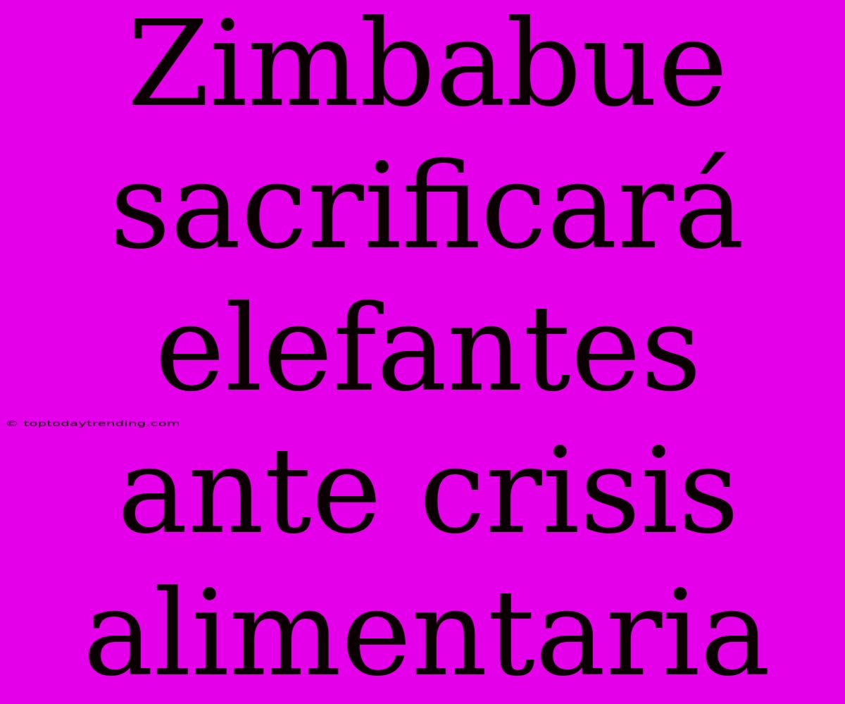 Zimbabue Sacrificará Elefantes Ante Crisis Alimentaria