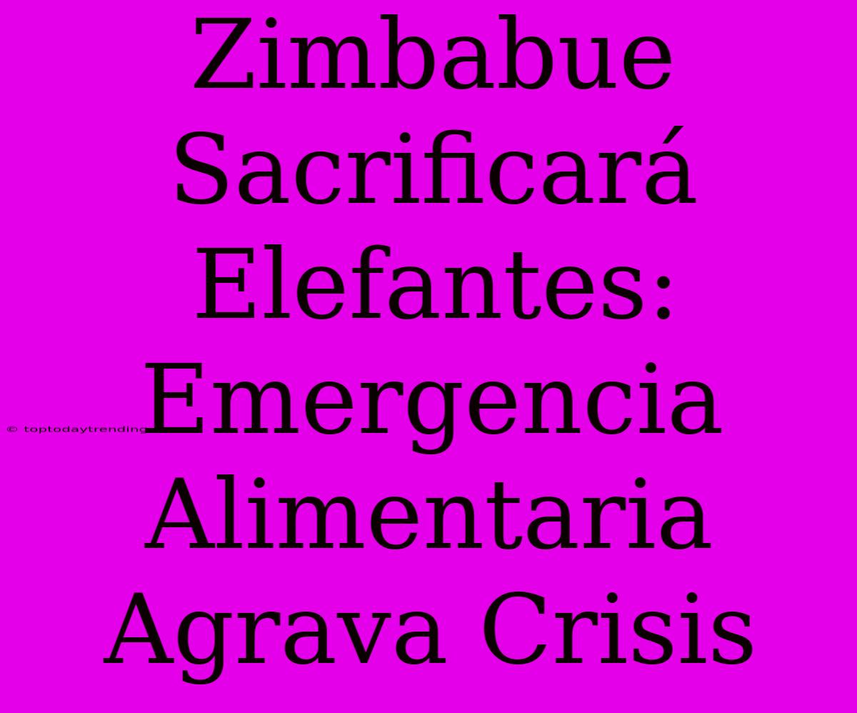 Zimbabue Sacrificará Elefantes: Emergencia Alimentaria Agrava Crisis