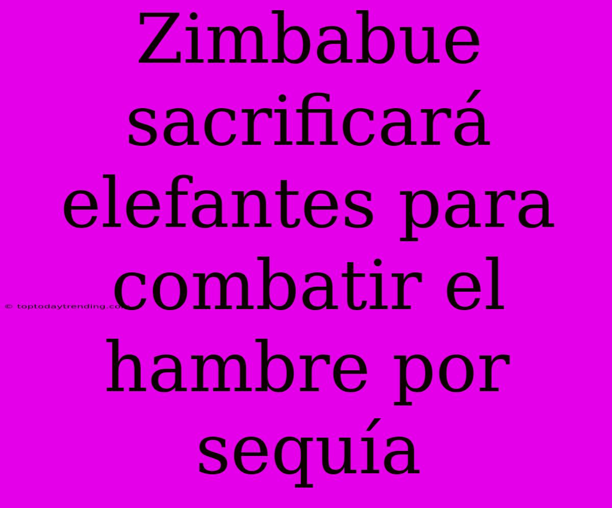 Zimbabue Sacrificará Elefantes Para Combatir El Hambre Por Sequía