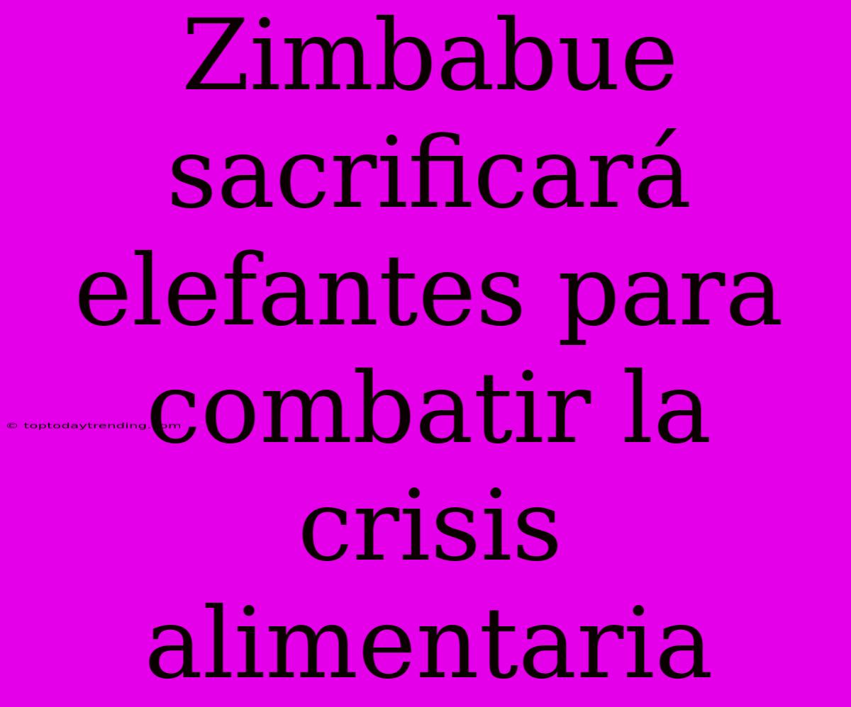 Zimbabue Sacrificará Elefantes Para Combatir La Crisis Alimentaria