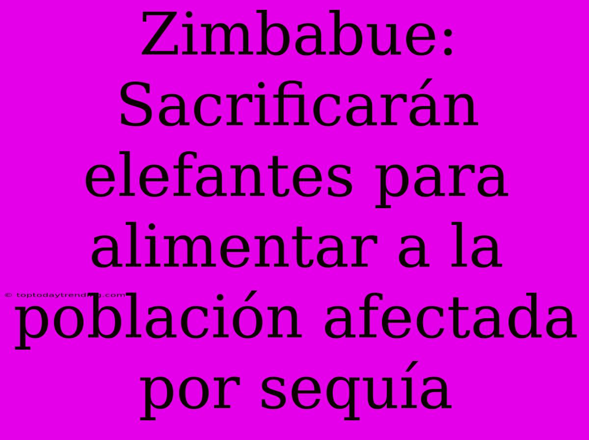 Zimbabue: Sacrificarán Elefantes Para Alimentar A La Población Afectada Por Sequía