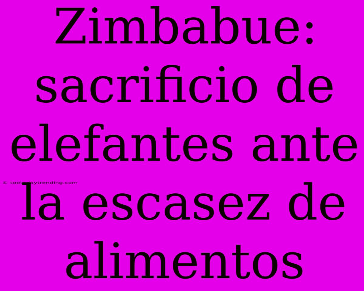 Zimbabue: Sacrificio De Elefantes Ante La Escasez De Alimentos