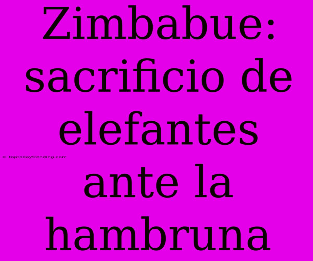 Zimbabue: Sacrificio De Elefantes Ante La Hambruna