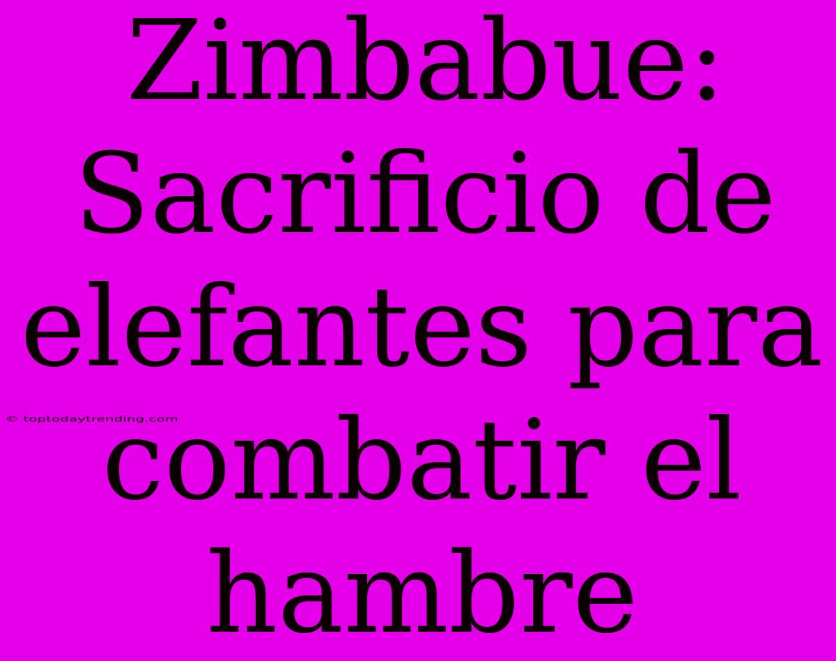 Zimbabue: Sacrificio De Elefantes Para Combatir El Hambre