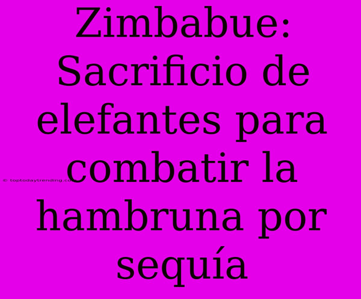 Zimbabue: Sacrificio De Elefantes Para Combatir La Hambruna Por Sequía