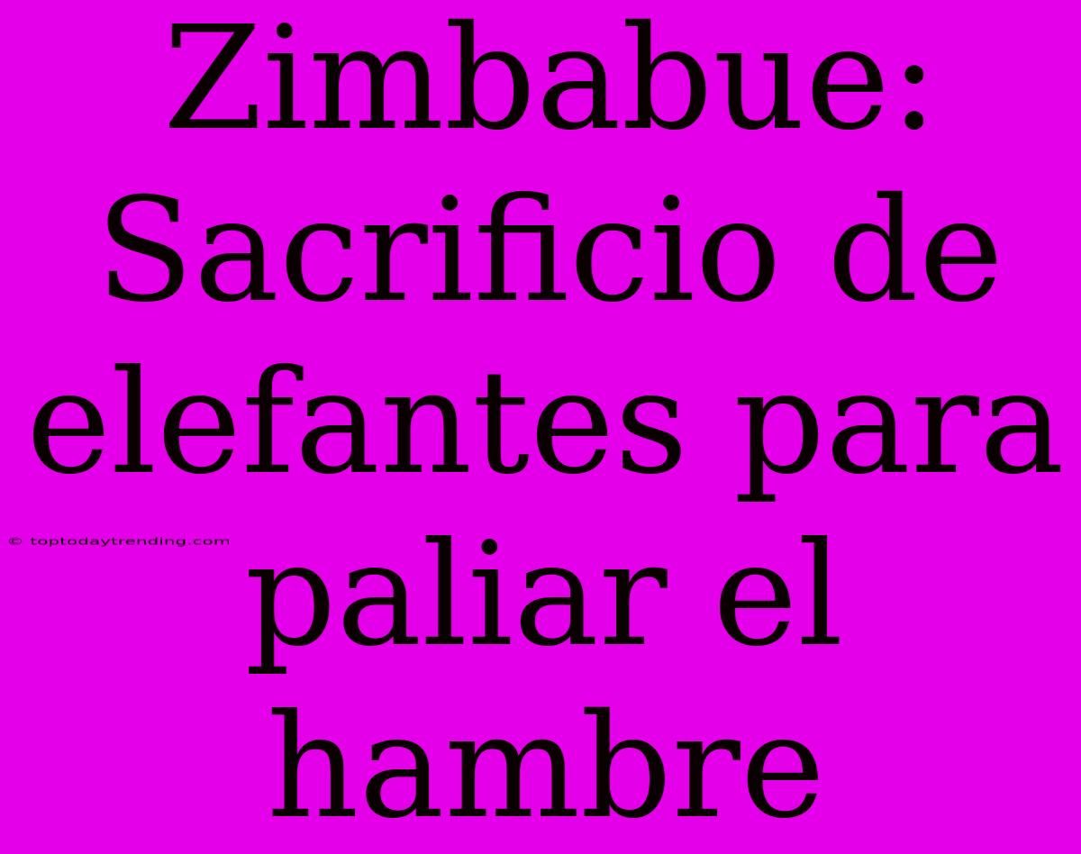 Zimbabue: Sacrificio De Elefantes Para Paliar El Hambre