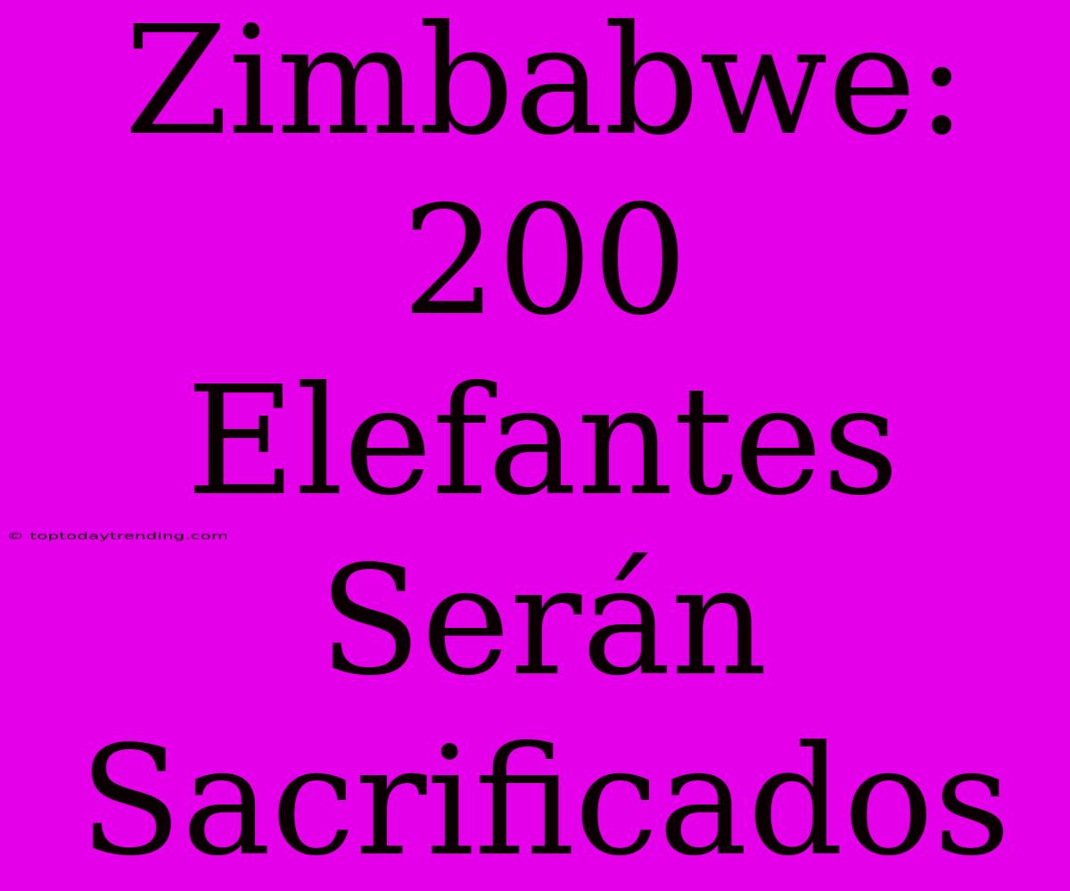 Zimbabwe: 200 Elefantes Serán Sacrificados