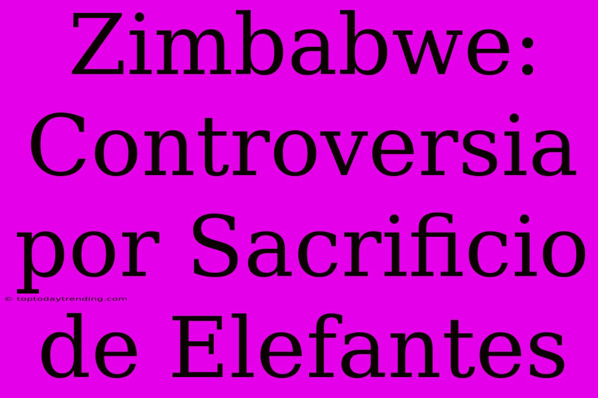 Zimbabwe: Controversia Por Sacrificio De Elefantes