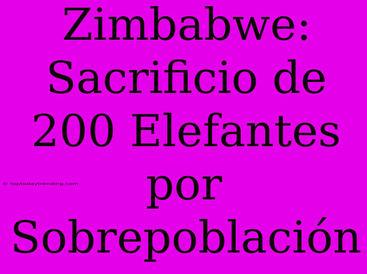 Zimbabwe: Sacrificio De 200 Elefantes Por Sobrepoblación