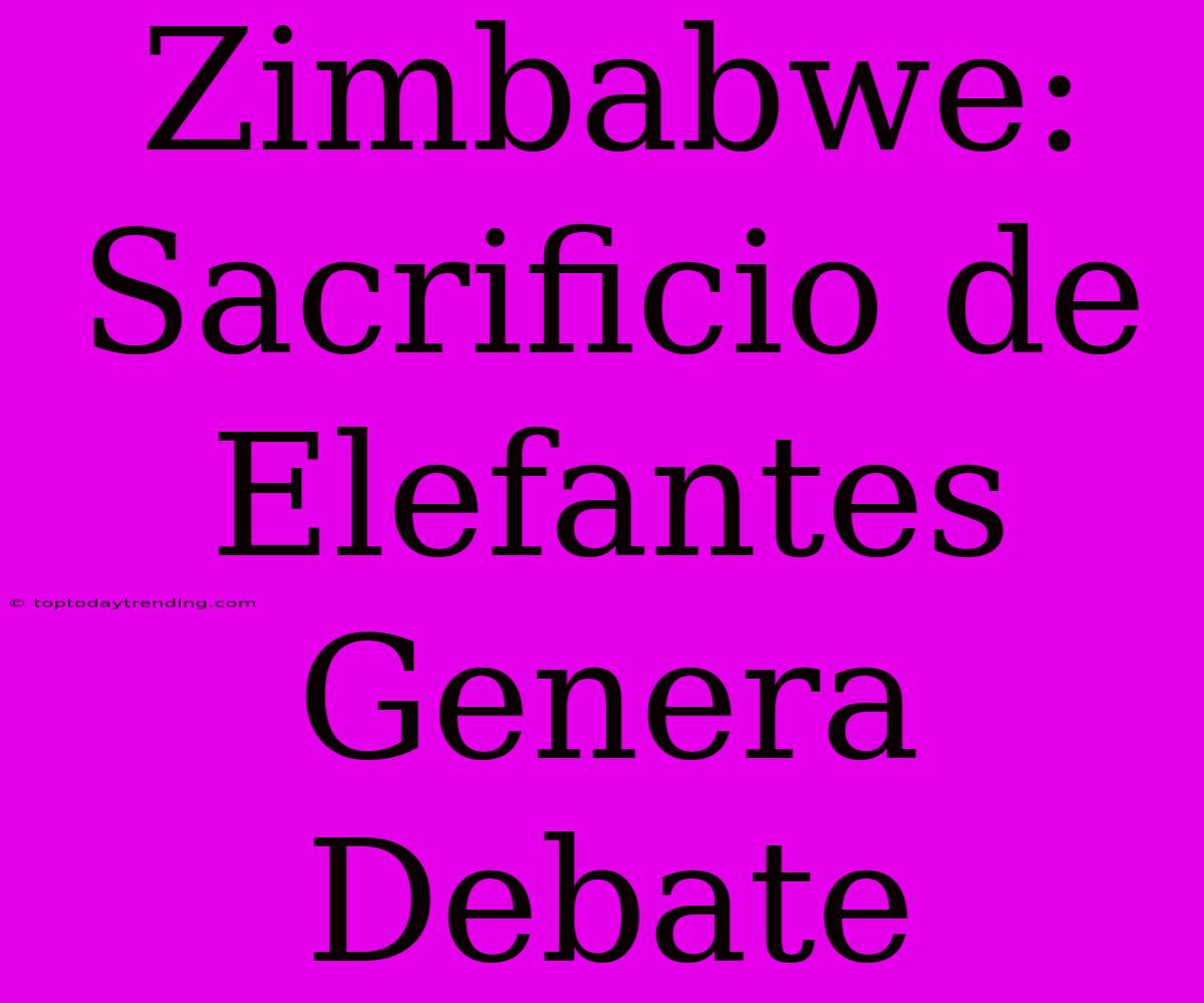 Zimbabwe: Sacrificio De Elefantes Genera Debate