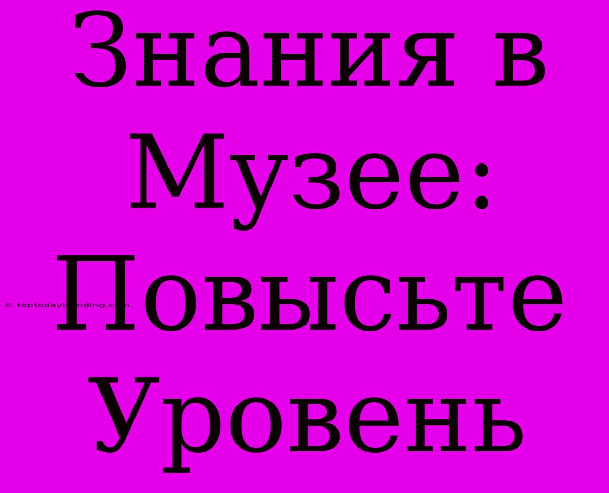 Знания В Музее: Повысьте Уровень