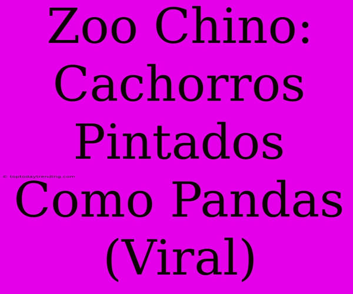 Zoo Chino: Cachorros Pintados Como Pandas (Viral)