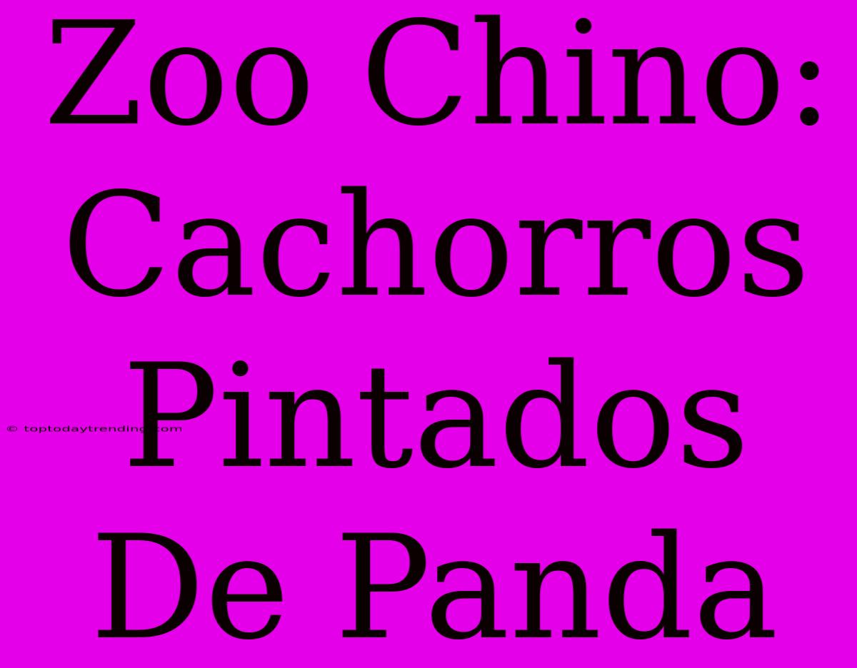 Zoo Chino: Cachorros Pintados De Panda