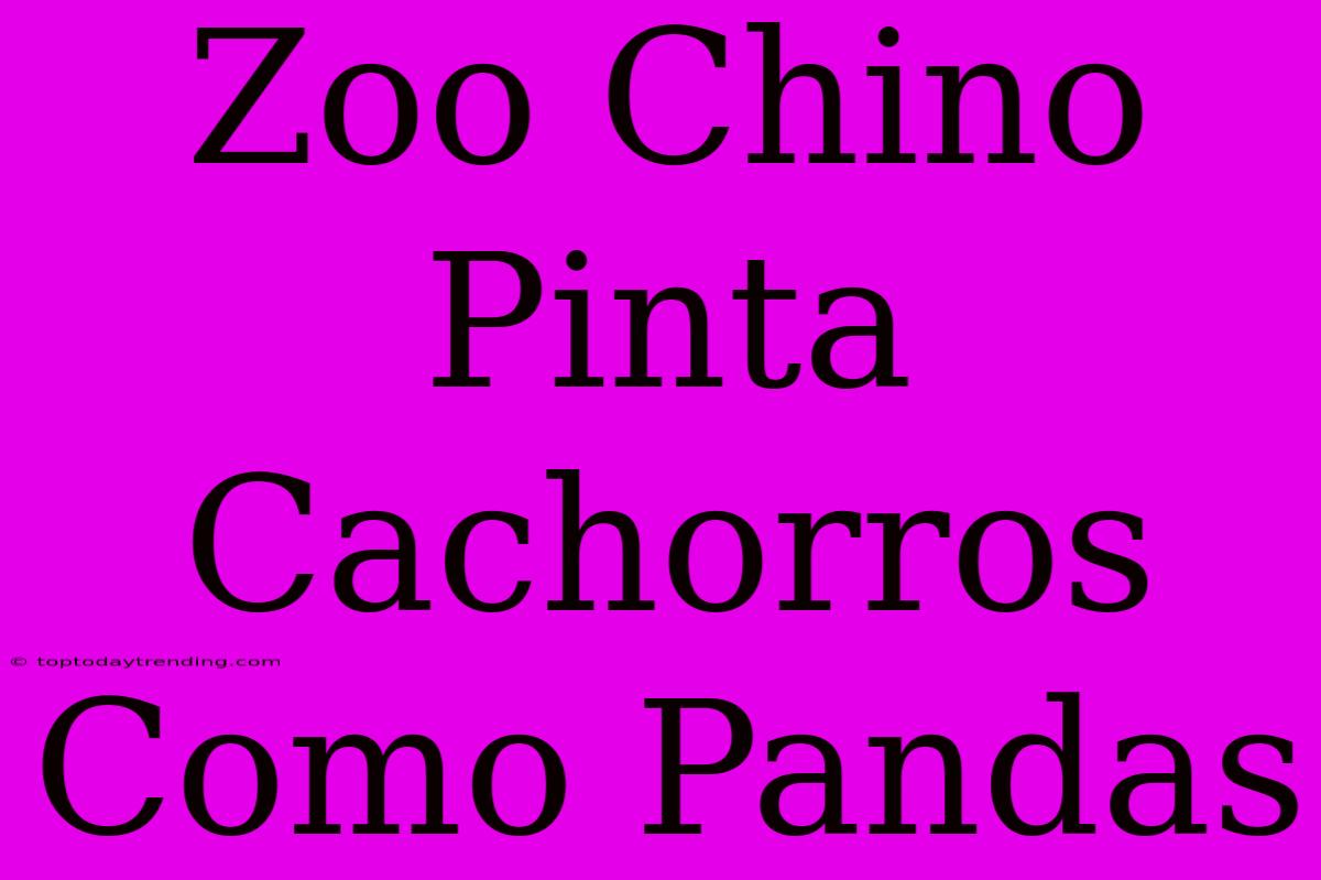 Zoo Chino Pinta Cachorros Como Pandas