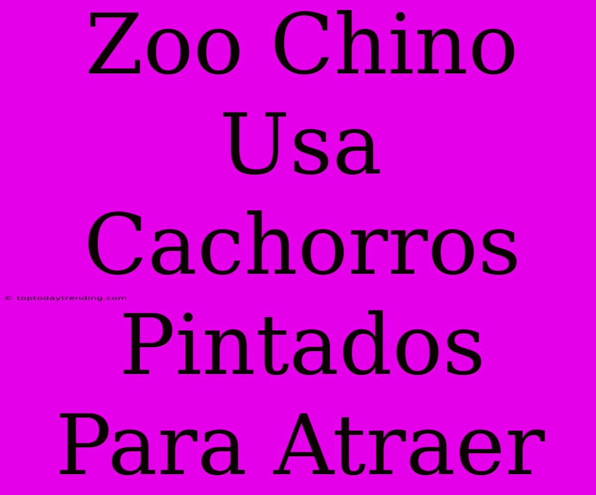 Zoo Chino Usa Cachorros Pintados Para Atraer