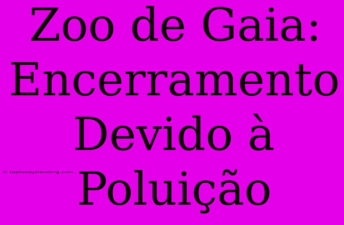 Zoo De Gaia: Encerramento Devido À Poluição