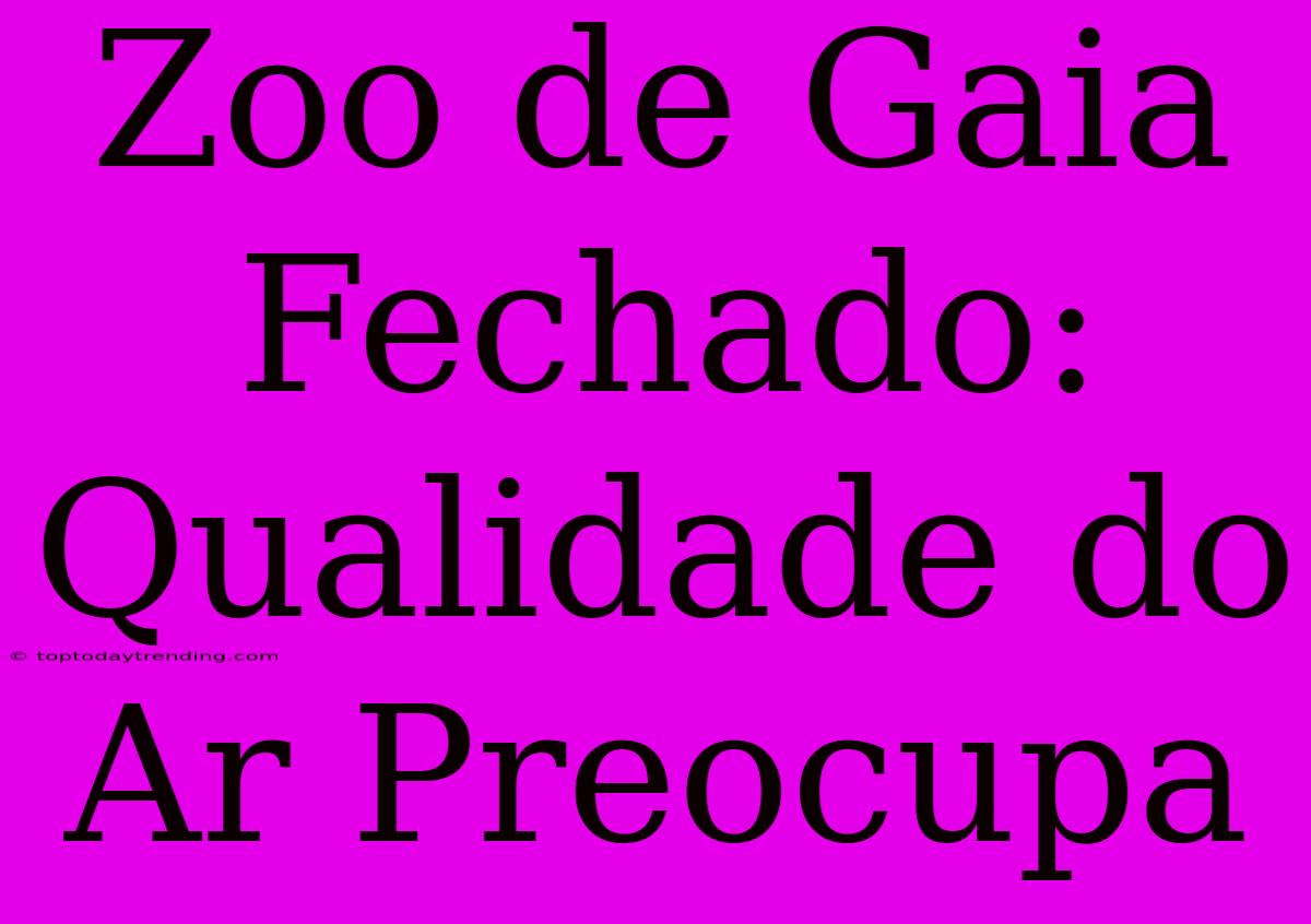 Zoo De Gaia Fechado: Qualidade Do Ar Preocupa