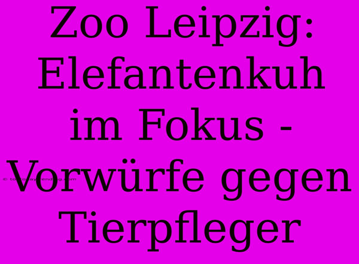 Zoo Leipzig: Elefantenkuh Im Fokus - Vorwürfe Gegen Tierpfleger