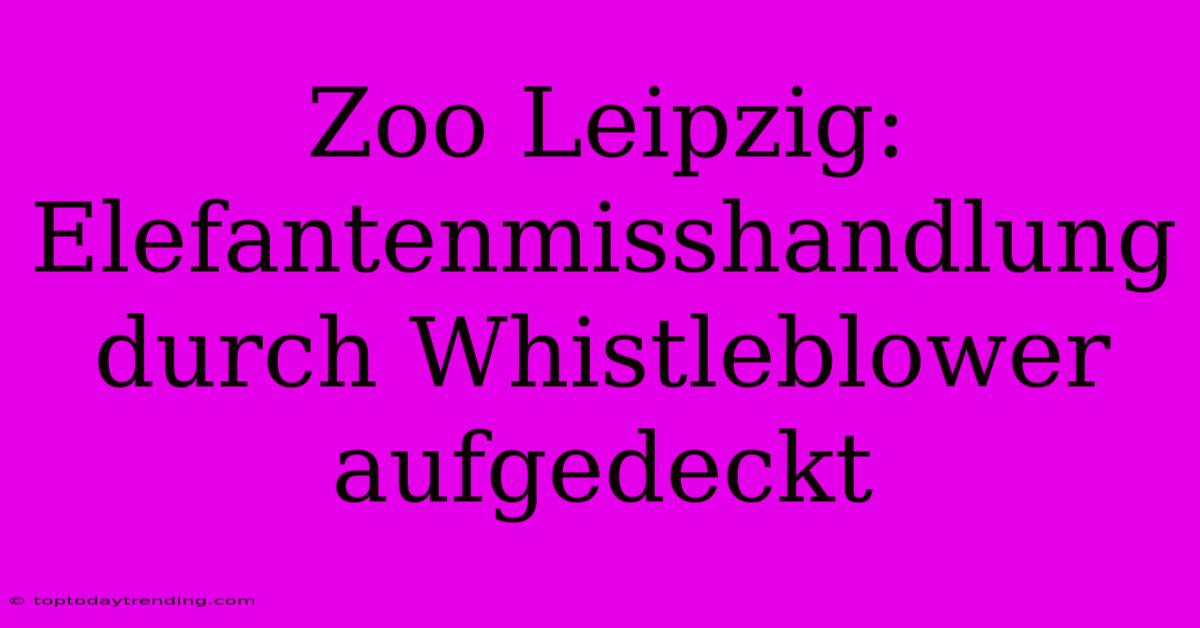 Zoo Leipzig: Elefantenmisshandlung Durch Whistleblower Aufgedeckt