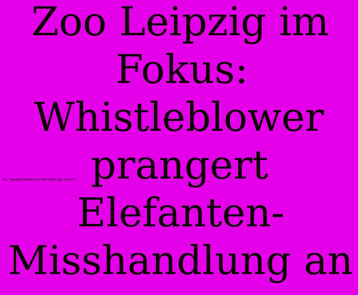 Zoo Leipzig Im Fokus: Whistleblower Prangert Elefanten-Misshandlung An