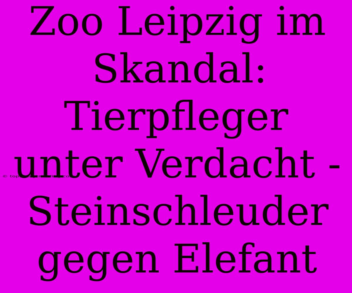 Zoo Leipzig Im Skandal: Tierpfleger Unter Verdacht - Steinschleuder Gegen Elefant