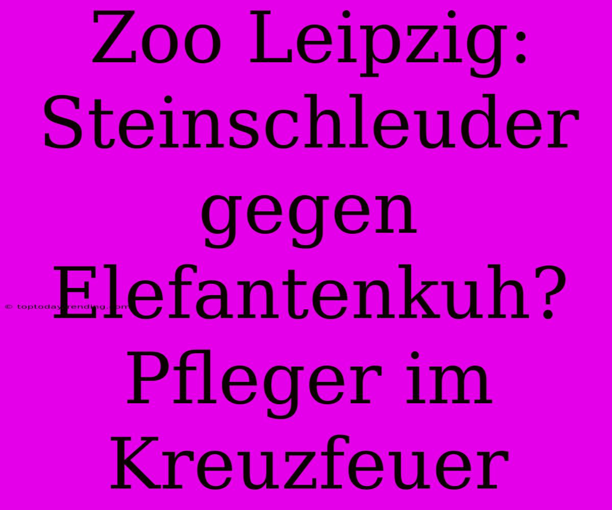 Zoo Leipzig: Steinschleuder Gegen Elefantenkuh? Pfleger Im Kreuzfeuer