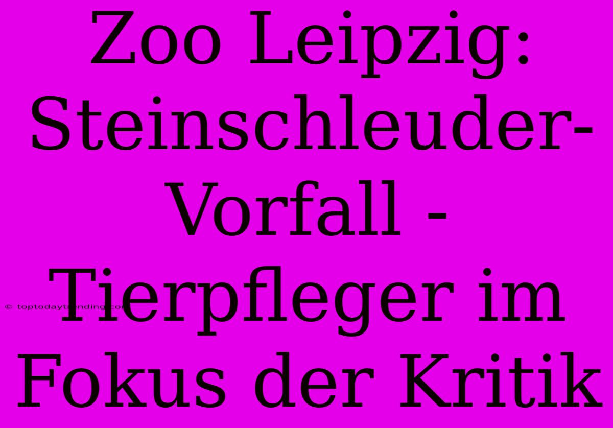 Zoo Leipzig: Steinschleuder-Vorfall - Tierpfleger Im Fokus Der Kritik