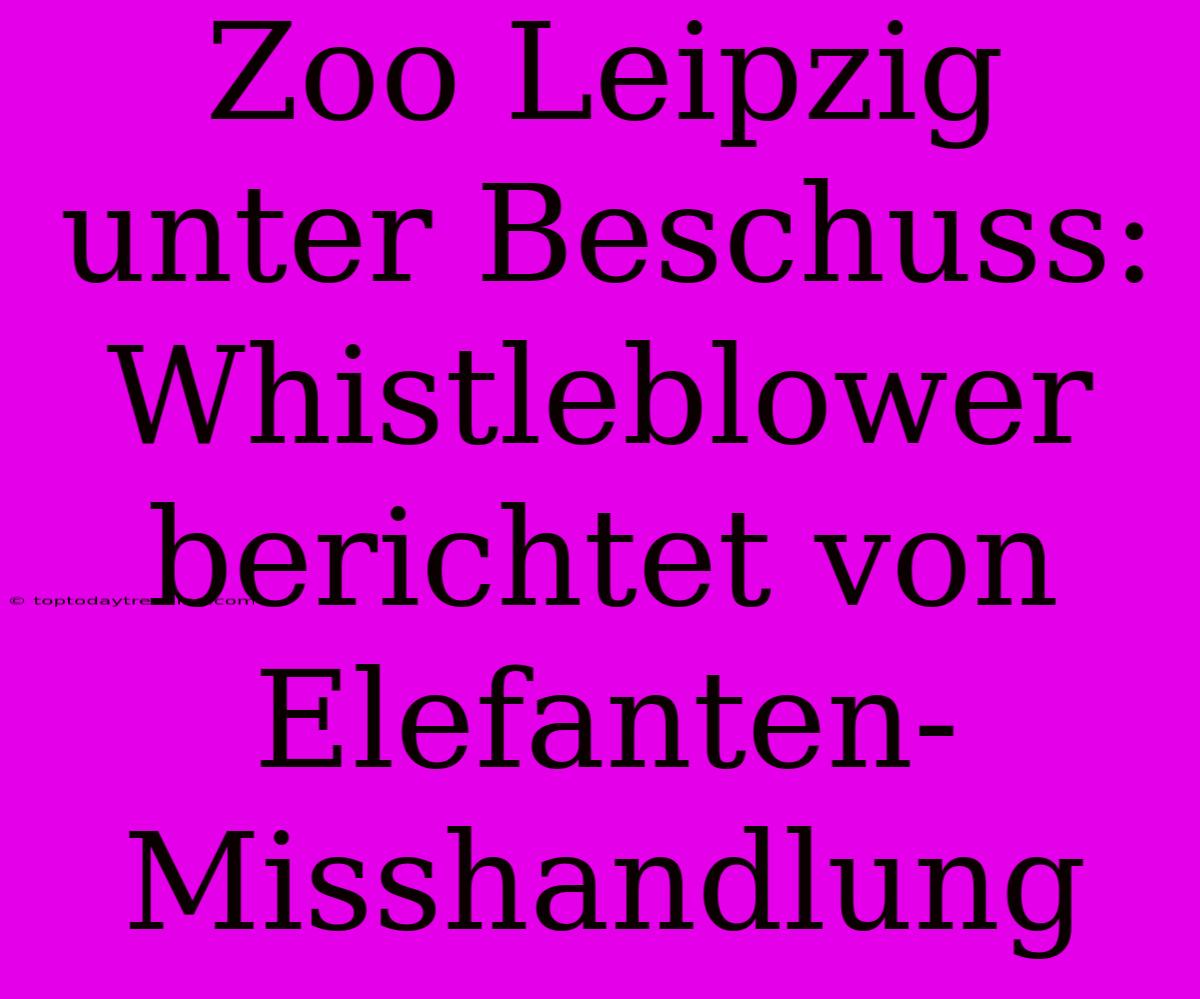 Zoo Leipzig Unter Beschuss: Whistleblower Berichtet Von Elefanten-Misshandlung