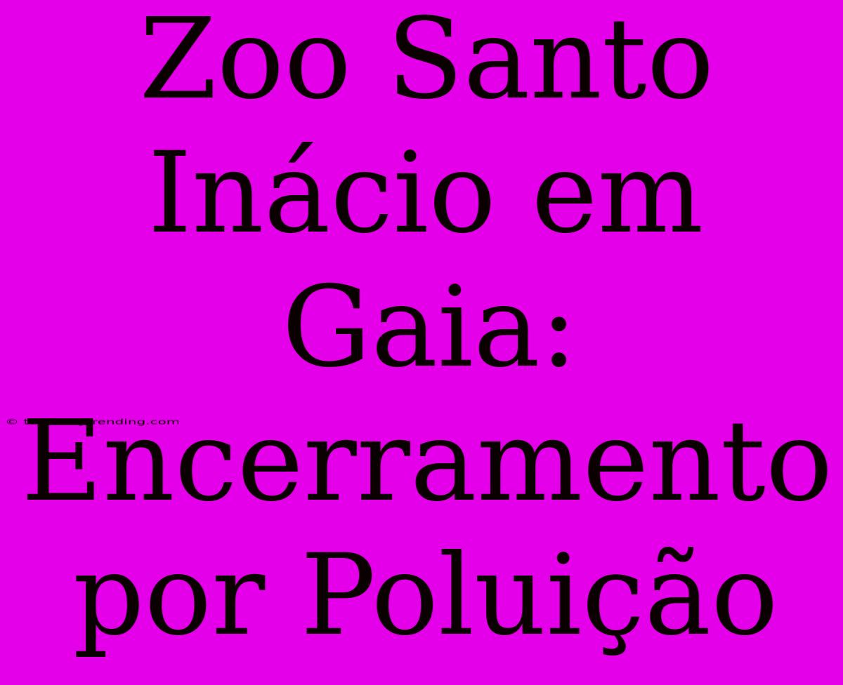 Zoo Santo Inácio Em Gaia: Encerramento Por Poluição