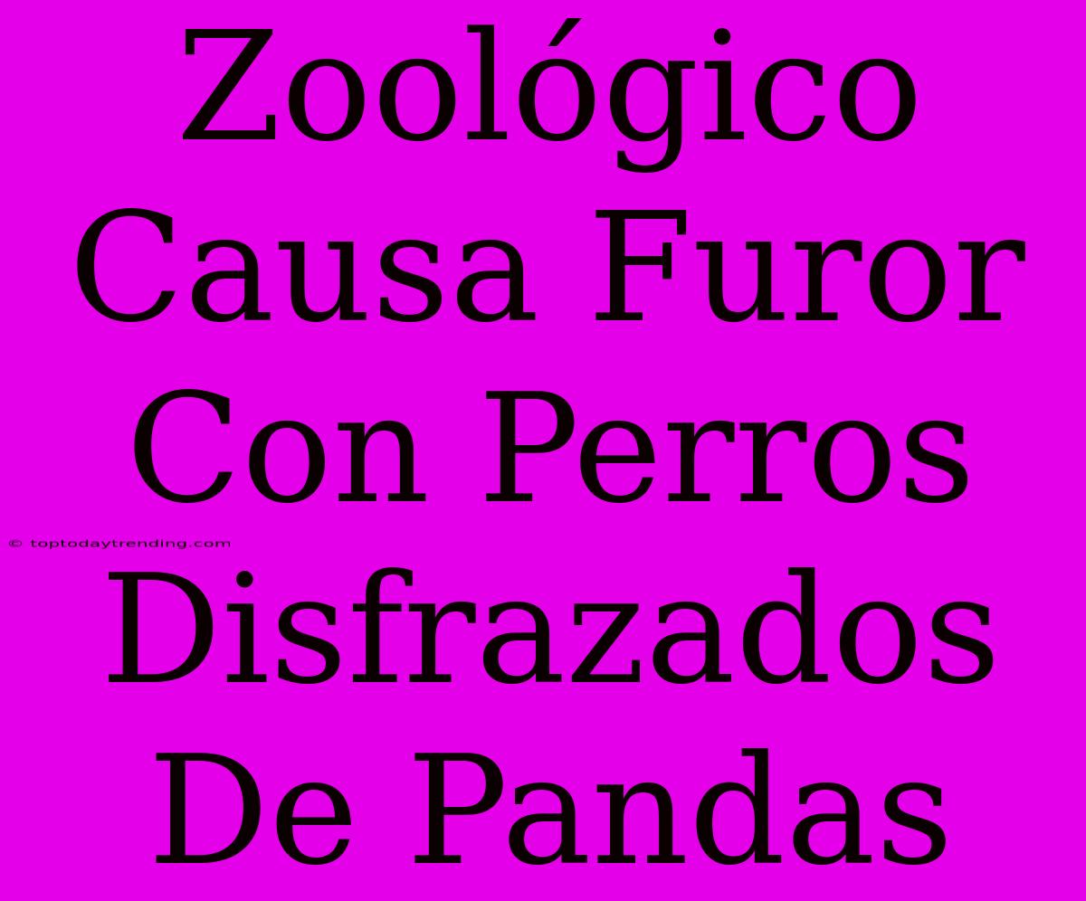 Zoológico Causa Furor Con Perros Disfrazados De Pandas